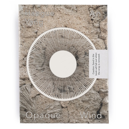 Haegue Yang: An Opaque Wind
